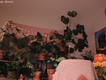 cosplay cam girl jane_flowers image #3369224