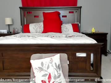 webcam girl foxy_gamer capture image #205610