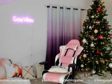 webcam girl foxy_gamer capture image #1402037
