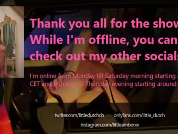 webcam girl little_dutch capture image #2938097