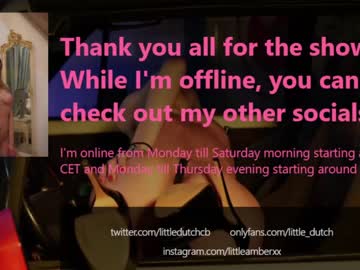 webcam girl little_dutch capture image #2838222