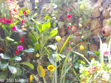 webcam girl camilitasu capture image #2286767