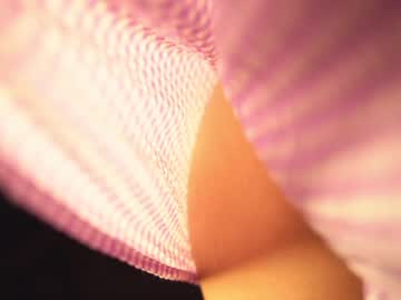 cosplay cam girl cuteelsa_ image #5971141