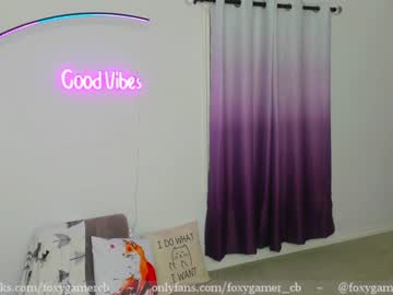 webcam girl foxy_gamer capture image #2013488