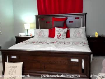 webcam girl foxy_gamer capture image #532038
