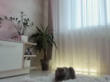 cosplay cam girl meryfoxxx image #4078958