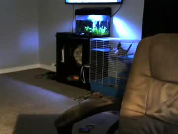 cosplay cam man sean0203 image #185011