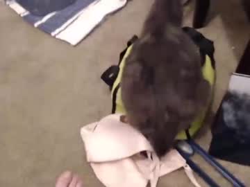 cosplay cam girl glutenfreehulahoops image #1554348