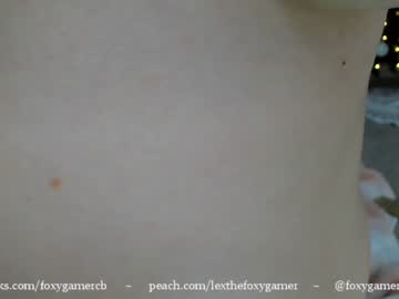 webcam girl foxy_gamer capture image #1412677
