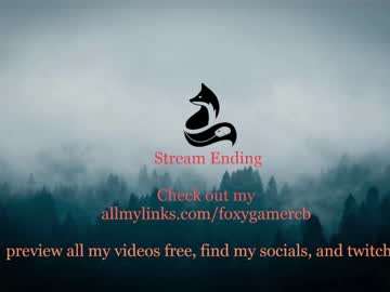 cosplay cam girl foxy_gamer image #3909047