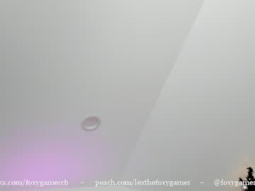 webcam girl foxy_gamer capture image #1402238