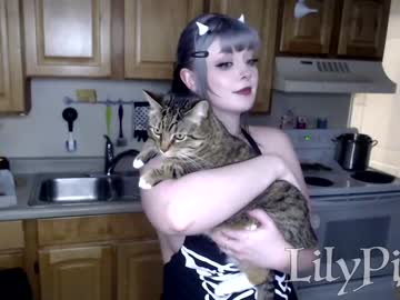 cosplay cam girl lilypixel image #2925825