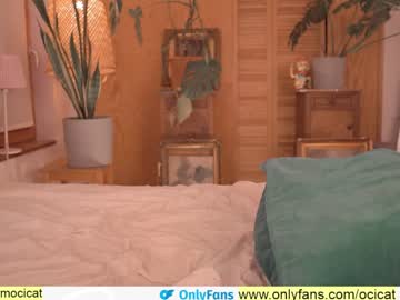 cosplay cam girl ocicat image #2185874