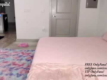 cosplay cam girl princess_cece image #4971339