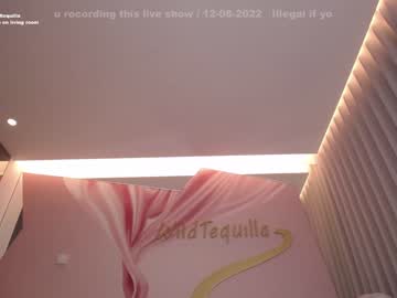 cosplay cam girl wildtequilla image #2422996
