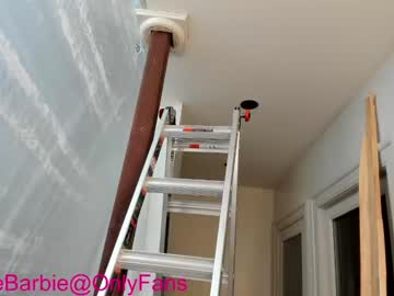 cosplay cam girl rvlifebarbie image #3397446