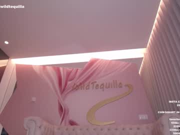 cosplay cam girl wildtequilla image #3218572