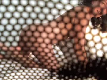 cosplay cam girl annareyle image #2197912