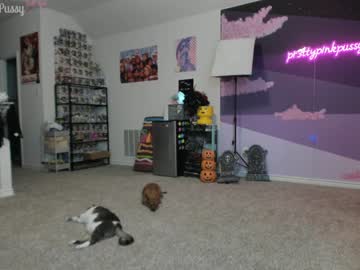 cosplay cam girl pr3ttyp1nkpussy image #2803168