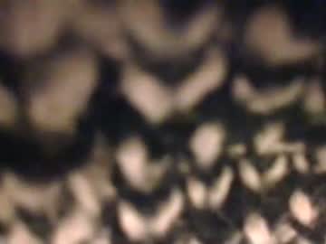 Cam for loosielucy222