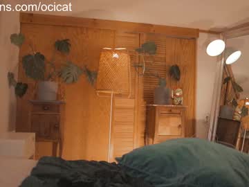 cosplay cam girl ocicat image #5013887